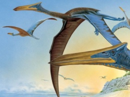 Ученые назвали птерозавров «доисторическими кошками»