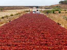Как сушат красный перец в Турции? Да на дороге!