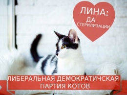 В Перми проходят выборы кота-президента