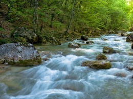 Краснокнижным животным Крыма угрожает уничтожение из-за нового проекта водоснабжения Севастополя