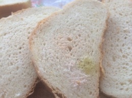 В Одессе свежекупленный хлеб "цветет" розовой и зеленой плесенью (ФОТО)