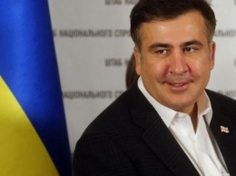 Саакашвили уверен, что зарплаты чиновников можно поднять за 6 месяцев