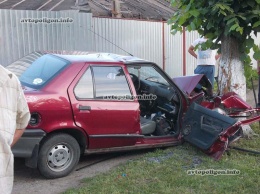 ДТП на Киевщине: Renault 19 врезался в дерево - пострадавшего вызволяли спасатели. ФОТО