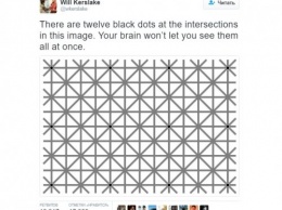 Оптическая иллюзия с 12 черными точками взорвала Интернет