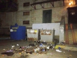 Херсонцы продолжают жаловаться на мусор (фото)