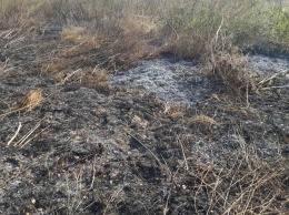 В трех областях Украины горят торфяники на общей площади в 11,68 га, - ГосЧС