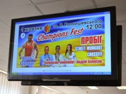 В Каменском состоится фестиваль «Чемпион - фест 2016»