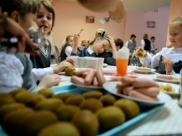 Мэрию Каменского попросили организовать бесплатное питание в школах и садиках