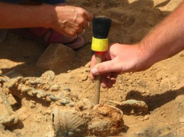 Российские археологи в Сибири открыли новый вид динозавра