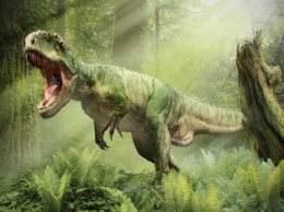 Ученые: Динозавры умели маскироваться подобно хамелеонам