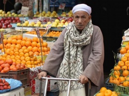 Россия запретила ввоз овощей и фруктов из Египта