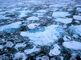 Ученые: Площадь льда в Арктике достигла рекордного минимума
