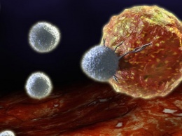 Ученые советуют поддерживать иммунитет ради предотвращения рака