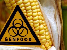 Американские ученые установили влияние ГМО-культур на экологическую ситуацию