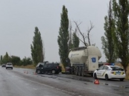 ДТП на трассе «Николаев-Херсон» произошло из-за животного