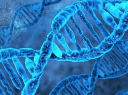 Ученые: Враждебные элементы ДНК существенно вредят здоровью