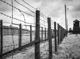 Израильтяне опровергли связь Холокоста с распространенностью шизофрении
