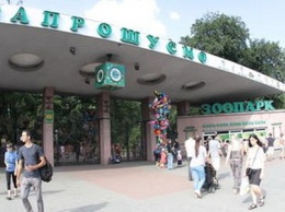 Киевский зоопарк стал местом тусовок и свадеб