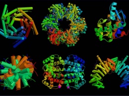 Геймеры переиграли биохимиков в фолдинг гипотетического белка