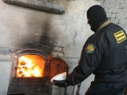 В Петербурге полицейские уничтожили более 200 килограмм наркотиков