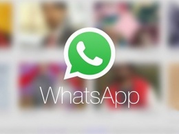Полезные советы для каждого пользователя WhatsApp
