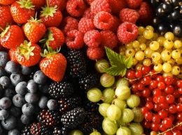 Время здоровья: выбираем самые полезные ягоды