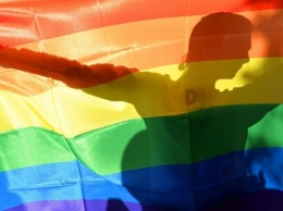 Госдума предлагает запретить в России ЛГБТ-флаг