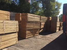 В Житомирской обл. выявили нелегальное предприятие по обработке древесины