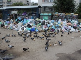 Возле школы во Львове скопился мусор, который не вывозили уже 11 дней