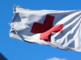 В Херсон прибыли представители Красного Креста и Грузии и Финляндии