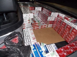 В Закарпатской обл. гражданин Германии пытался вывезти из Украины почти тысячу пачек сигарет