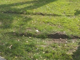 В Черкассах в парке обнаружили тело младенца