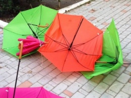 На Херсонщине объявили денежное вознаграждение за информацию о вандалах, разрушивших Аллею с зонтами