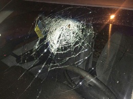 В Луцке пьяный водитель разбил головой стекло автомобиля при задержании полицией