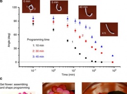 Ученые: Создан материал, способный менять форму самостоятельно