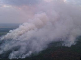 В Чернобыльской зоне горит около 130 гектаров травы (ВИДЕО)