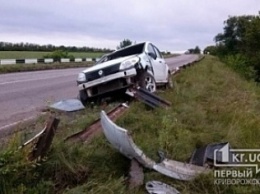 ДТП под Кривым Рогом: Из-за ям на дороге автомобиль вынесло на встречную полосу