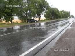 ДТП на Николаевщине: Nissan Teana врезался в дерево - пострадали четверо. ФОТО