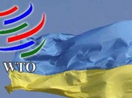 ВТО призвала Киев отменить дополнительные пошлины на импорт автомобилей