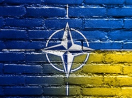 Порошенко просит еще семь лет для вступления в НАТО