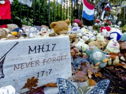 Голландия уверена в успехе расследования крушения самолета MH17 под Донецком