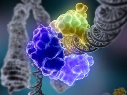 Японские ученые нашли в ДНК человека "ген лета"