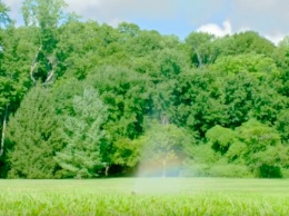 Сотовая компания U.S. Cellular выпустила семичасовую рекламу, в которой просто растет трава