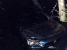 На трассе Евпатория-Симферополь иномарка разбилась о столб: погибшую женщину доставали из-под машины (ФОТО)