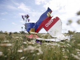 Прокуроры идентифицировали 100 подозреваемых в причастности до сбивания MH17 - родственник погибшей