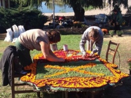 В Запорожье сделают торт из 18 тысяч цветов