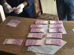 Лесничего поймали на взятке в 50 тыс. грн в Волынской области