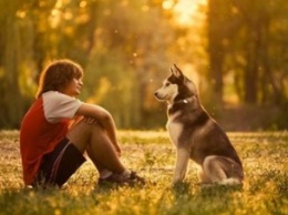 Ученые выяснили, почему собака - лучший друг человека