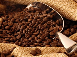 Ученые: Кофе может замедлить развитие болезни Паркинсона