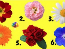 Выберите цветок и узнайте тайны вашей женственности!